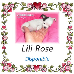 lili-rose