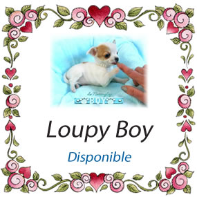 loupy-boy